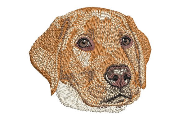 Red Fox Labrador Retriever Puppy Embroidery Review